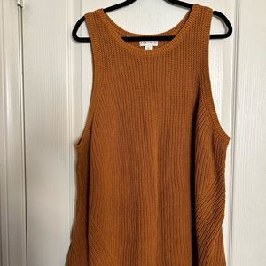 A new day sweater dress 4x